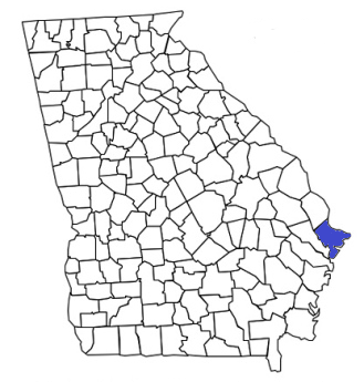 georgia fire, georgia firefighters, ga firefighters, ga fire, georgia fire department, chatham county, chatham county ems, chatham county fire apparatus, chatham county fire departments