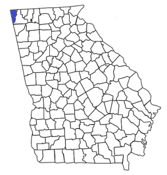 georgia fire, georgia firefighters, ga firefighters, ga fire, georgia fire department, dade county, dade county ems, dade county fire apparatus, dade county fire departments