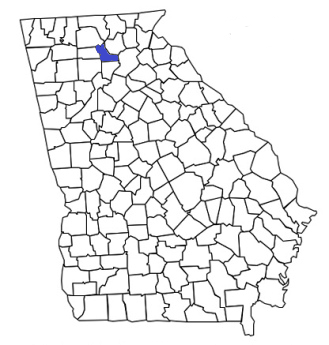 georgia fire, georgia firefighters, ga firefighters, ga fire, georgia fire department, dawson county, dawson county ems, dawson county fire apparatus, dawson county fire departments