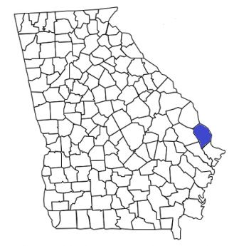 georgia fire, georgia firefighters, ga firefighters, ga fire, georgia fire department, effingham county, effingham county ems, effingham county fire apparatus, effingham county fire departments