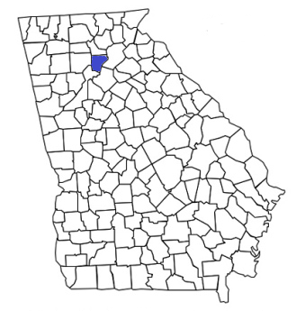 georgia fire, georgia firefighters, ga firefighters, ga fire, georgia fire department, forsyth county, forsyth county ems, forsyth county fire apparatus, forsyth county fire departments