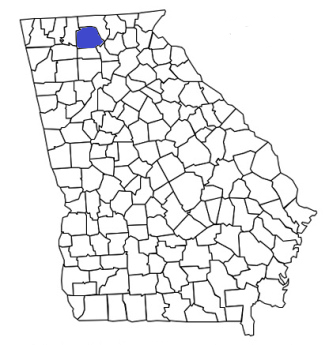 georgia fire, georgia firefighters, ga firefighters, ga fire, georgia fire department, gilmer county, gilmer county ems, gilmer county fire apparatus, gilmer county fire departments