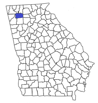 georgia fire, georgia firefighters, ga firefighters, ga fire, georgia fire department, gordon county, gordon county ems, gordon county fire apparatus, gordon county fire departments