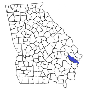 georgia fire, georgia firefighters, ga firefighters, ga fire, georgia fire department, liberty county, liberty county ems, liberty county fire apparatus, liberty county fire departments