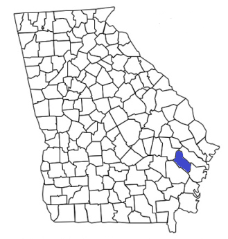 georgia fire, georgia firefighters, ga firefighters, ga fire, georgia fire department, long county, long county ems, long county fire apparatus, long county fire departments