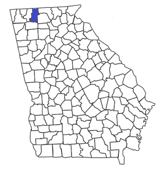 georgia fire, georgia firefighters, ga firefighters, ga fire, georgia fire department, murray county, murray county ems, murray county fire apparatus, murray county fire departments