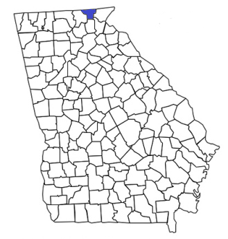 georgia fire, georgia firefighters, ga firefighters, ga fire, georgia fire department, towns county, towns county ems, towns county fire apparatus, towns county fire departments