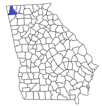 georgia fire, georgia firefighters, ga firefighters, ga fire, georgia fire department, walker county, walker county ems, walker county fire apparatus, walker county fire departments
