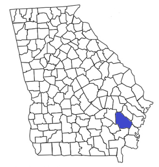 georgia fire, georgia firefighters, ga firefighters, ga fire, georgia fire department, wayne county, wayne county ems, wayne county fire apparatus, wayne county fire departments